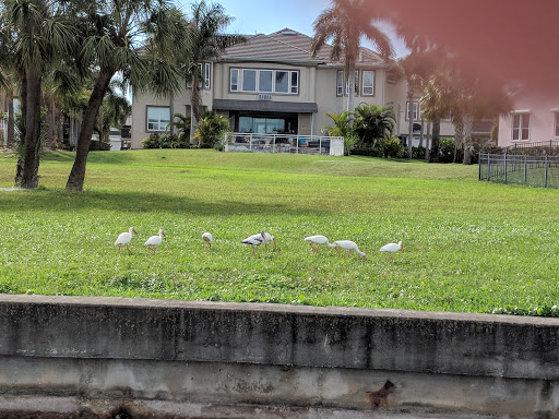 Private Golf Course «Pasadena Yacht & Country Club», reviews and photos, 6300 Pasadena Point Blvd S, Gulfport, FL 33707, USA