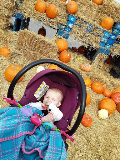 Grocery Store «Fresh Farms», reviews and photos, 8203 W Golf Rd, Niles, IL 60714, USA