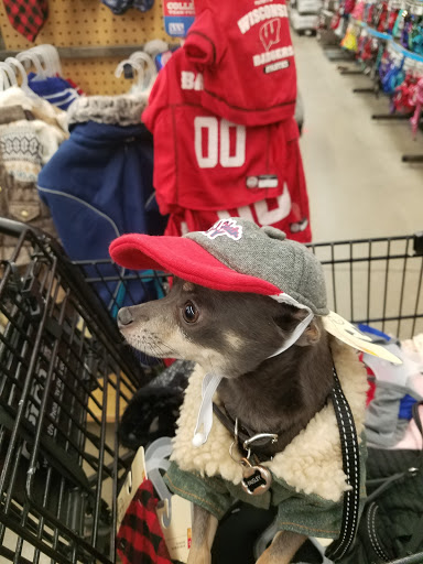 Pet Supply Store «Petco Animal Supplies», reviews and photos, 6025 Kruse Dr #159, Solon, OH 44139, USA