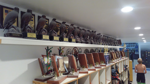 Gymnastics Center «5280 Gymnastics», reviews and photos, 10601 W 44th Ave, Wheat Ridge, CO 80033, USA