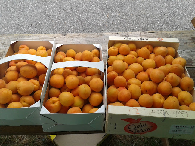 Rezensionen über Vente abricots Luizet in Sitten - Markt