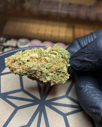 Pharmacy «Lucy Sky Dispensary», reviews and photos, 2215 E Mississippi Ave, Denver, CO 80210, USA