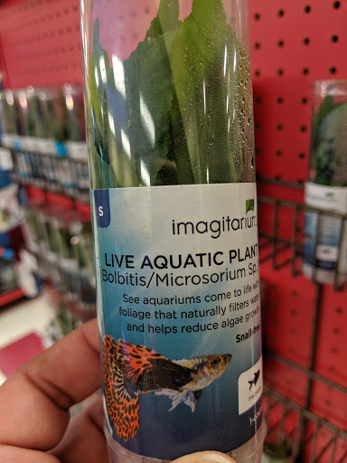 Pet Supply Store «Petco Animal Supplies», reviews and photos, 3264 Buford Dr NE #110, Buford, GA 30519, USA