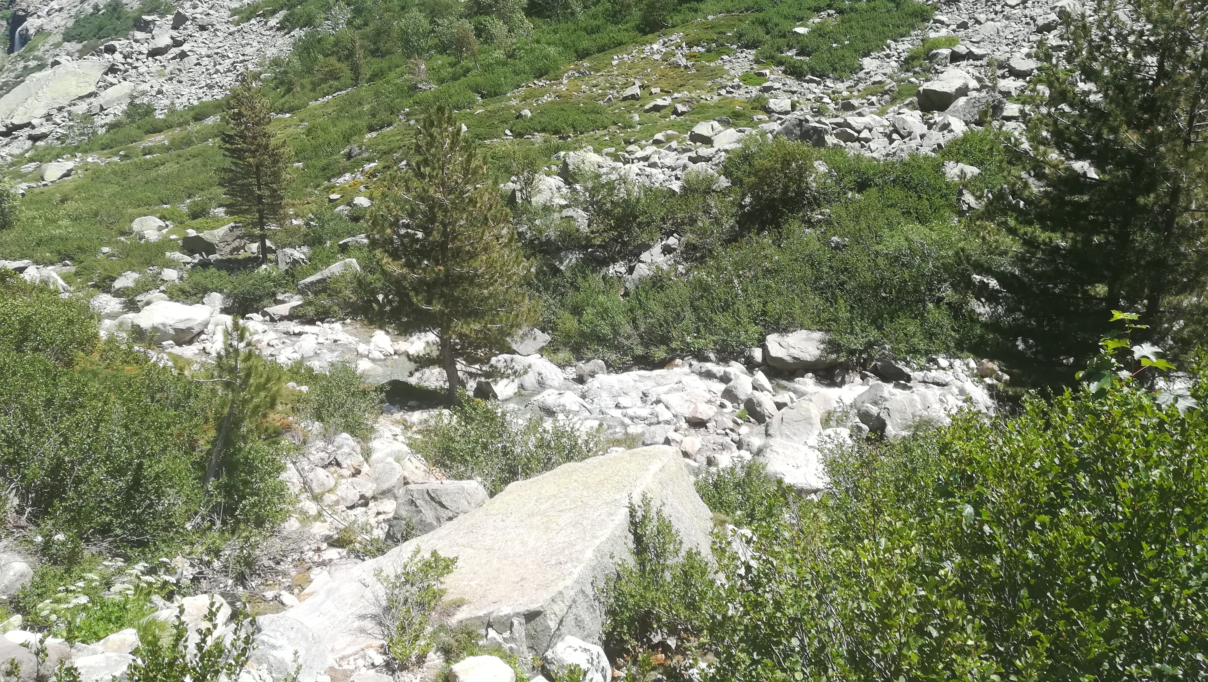 Photo n° 3 de l'avis de Marion.g fait le 13/07/2018 à 14:39