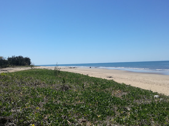 Oak Beach