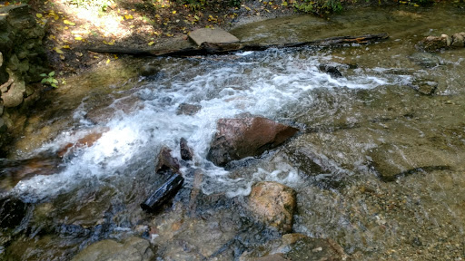 Nature Preserve «Asylum Lake Preserve», reviews and photos, 3836 S Drake Rd, Kalamazoo, MI 49008, USA