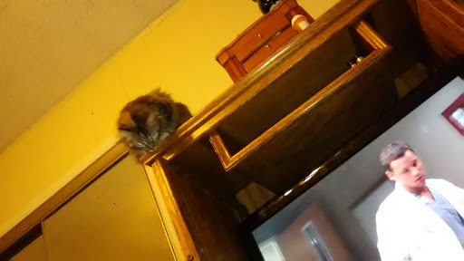 Pet Supply Store «Petco Animal Supplies», reviews and photos, 5239 Harvey St, Norton Shores, MI 49444, USA