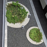 Photo n°7 de l'avis de Frank.l fait le 31/08/2020 à 16:31 sur le  Waveboard à Potsdam