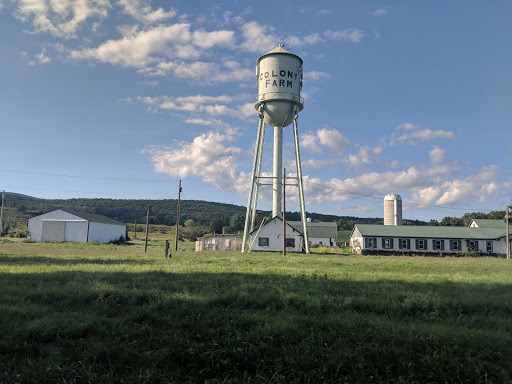 Nature Preserve «Minnewaska State Park Preserve», reviews and photos, 5281 Route 44-55, Kerhonkson, NY 12446, USA