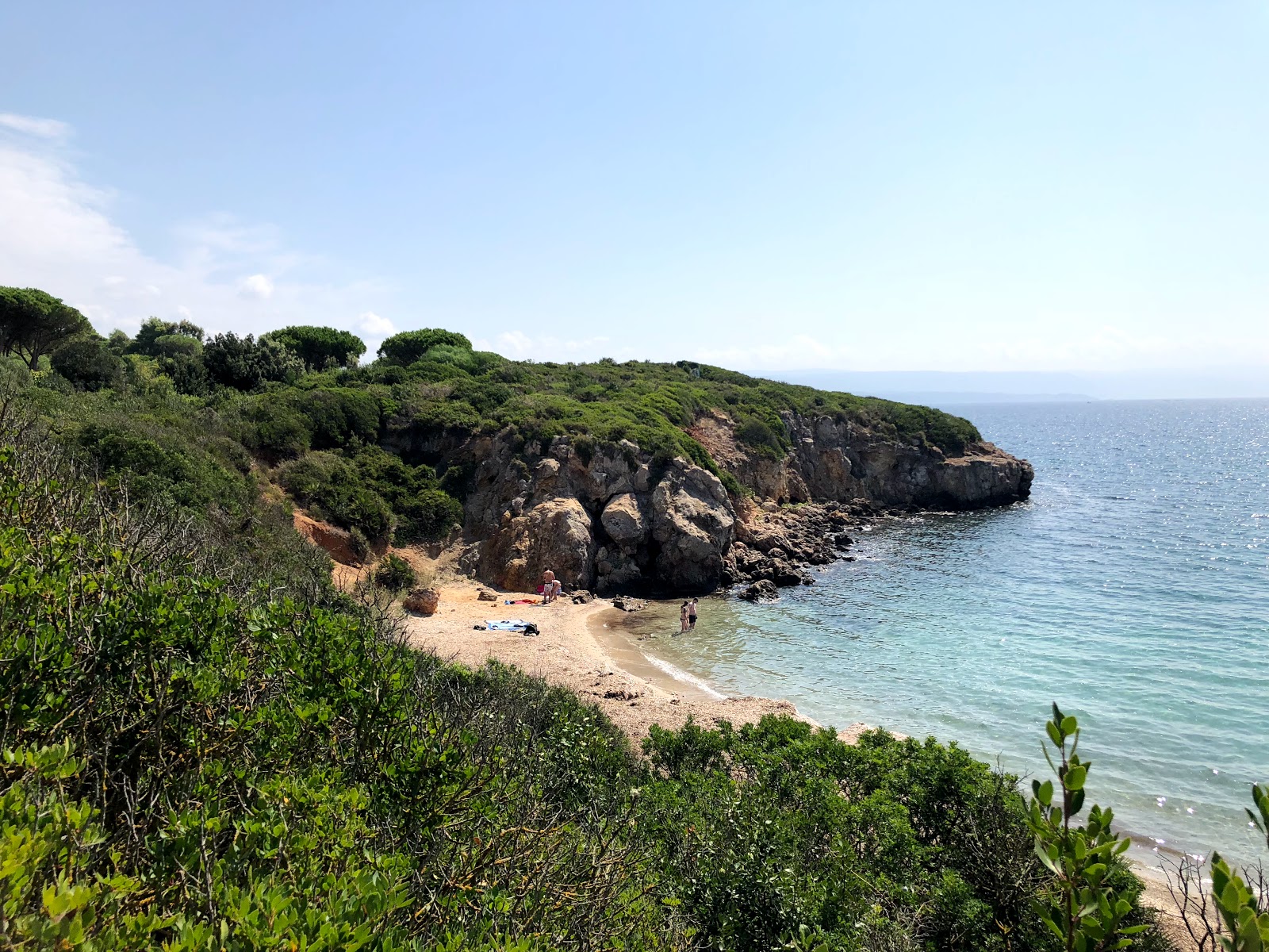 Foto von Cala dei Pini wilde gegend