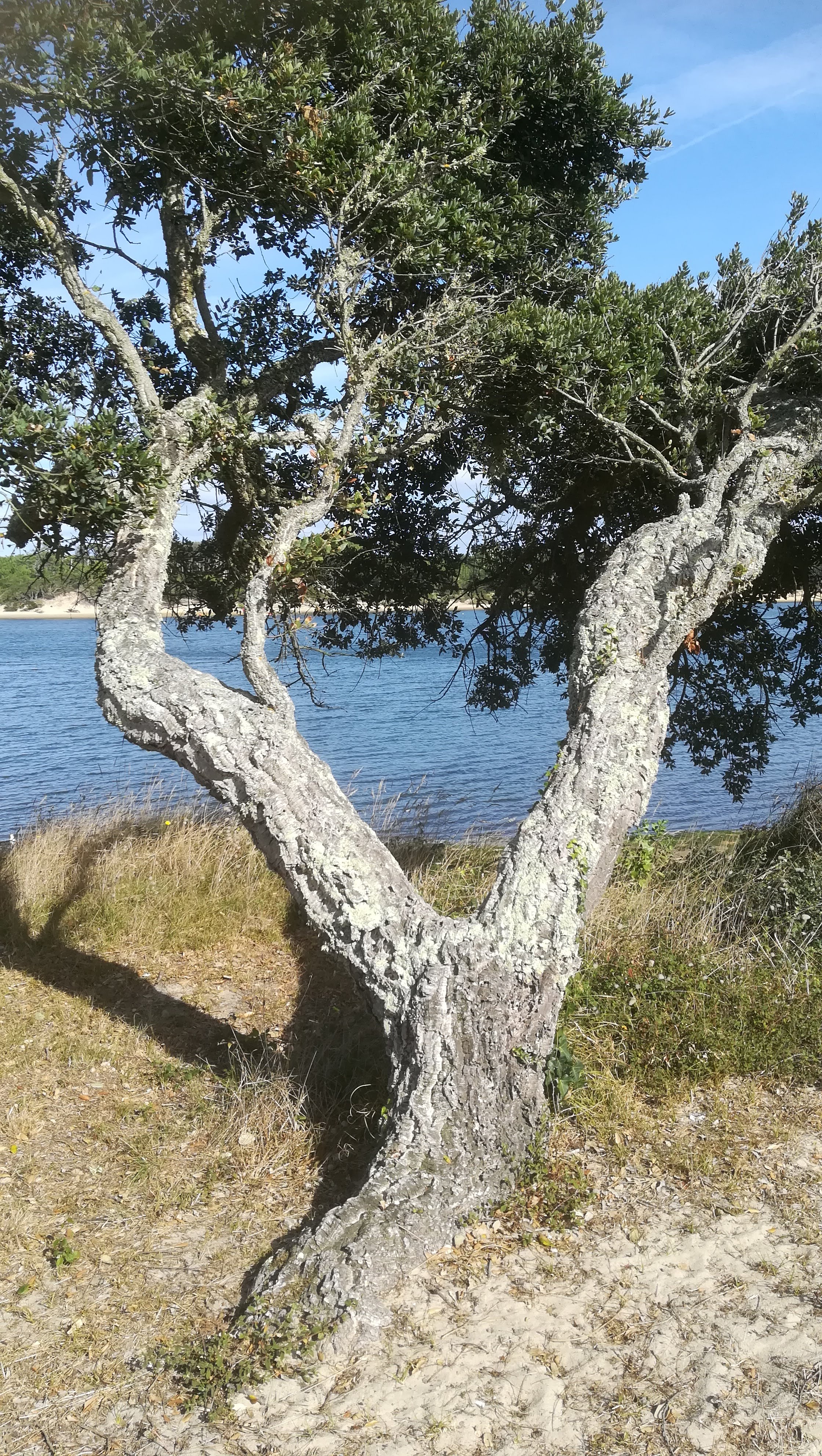 Photo n° 2 de l'avis de NOUNOU.7 fait le 21/10/2018 à 06:31