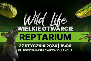 Wild Life - Reptarium image