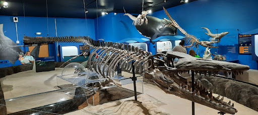 Museum «Museum», reviews and photos, 2142 Southern Dr, Statesboro, GA 30458, USA