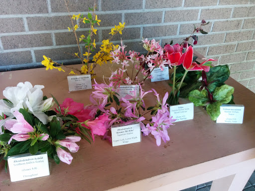 Botanical Garden «Brookgreen Gardens», reviews and photos, 1931 Brookgreen Garden Dr, Murrells Inlet, SC 29576, USA