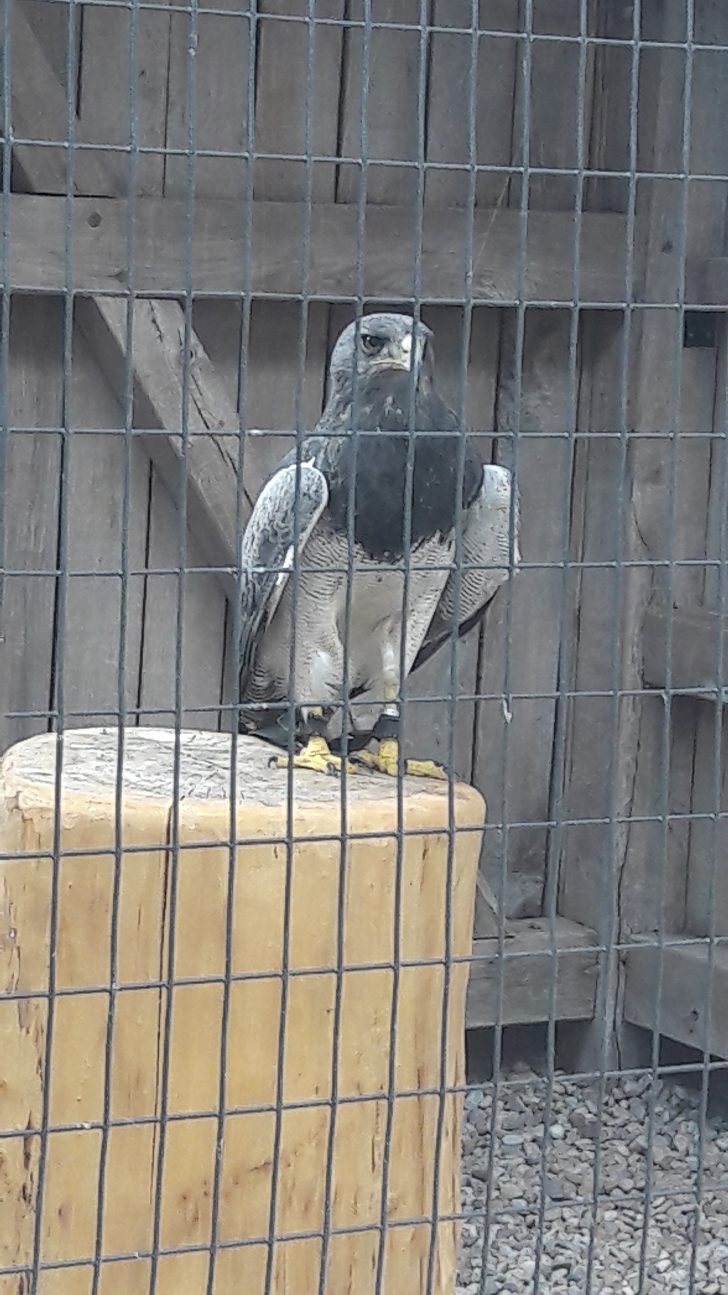 Photo n° 5 de l'avis de Lise.e fait le 14/07/2018 à 16:26
