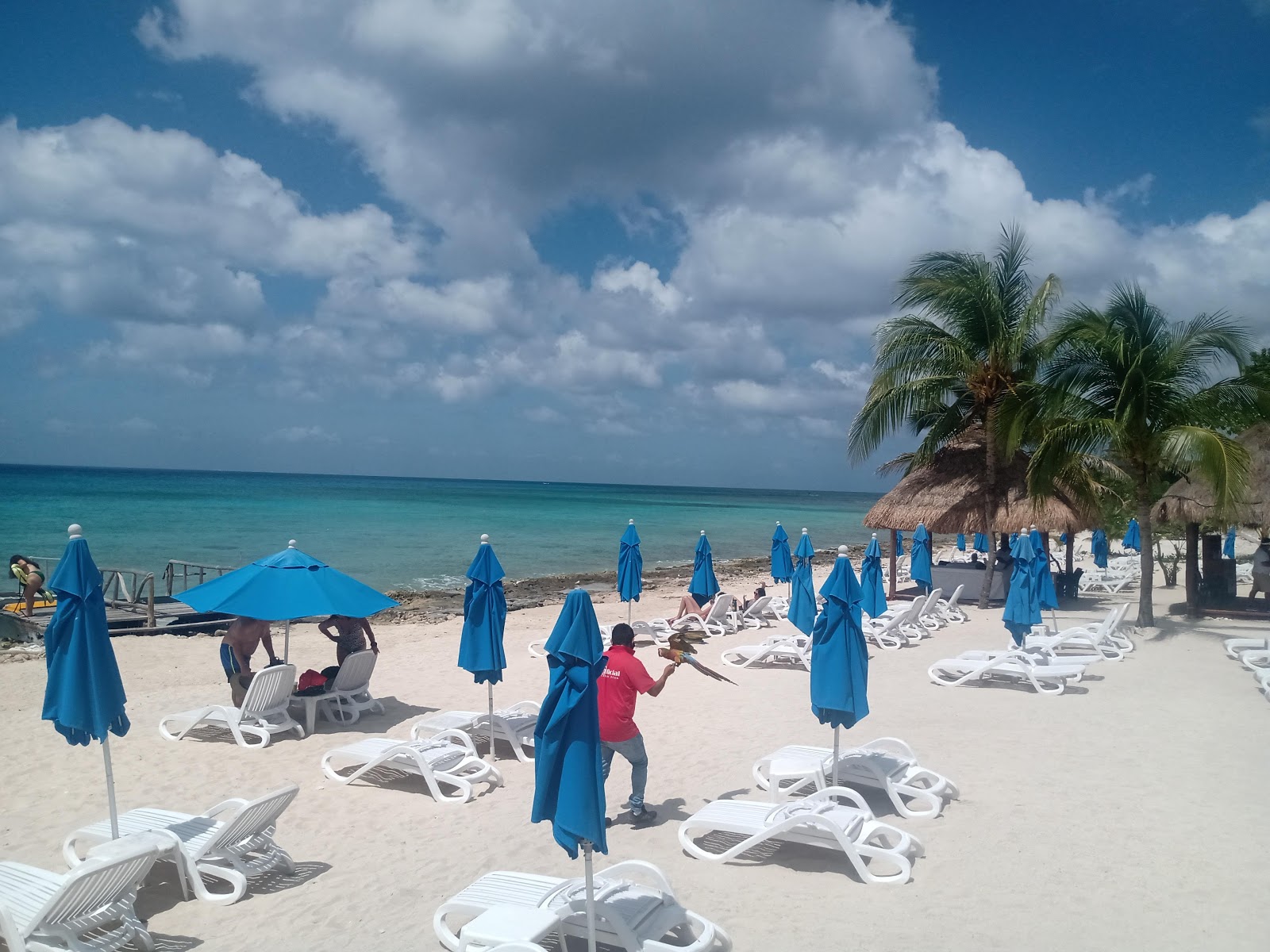 Playa Uvas'in fotoğrafı çok temiz temizlik seviyesi ile