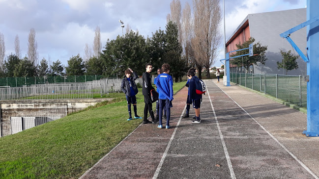 Escola de Futebol Dragon Force Ermesinde - Campo de futebol