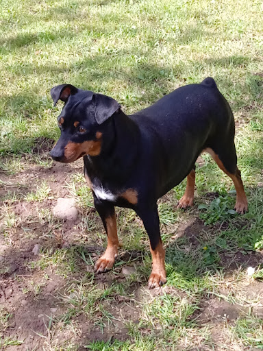Clínica Veterinaria Besaya en Torrelavega