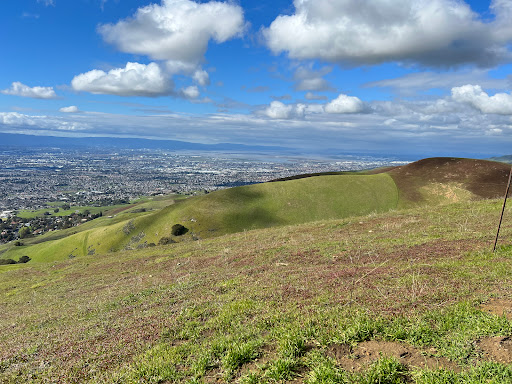 Boccardo Loop Trail