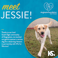 Dogtopia of South Elgin