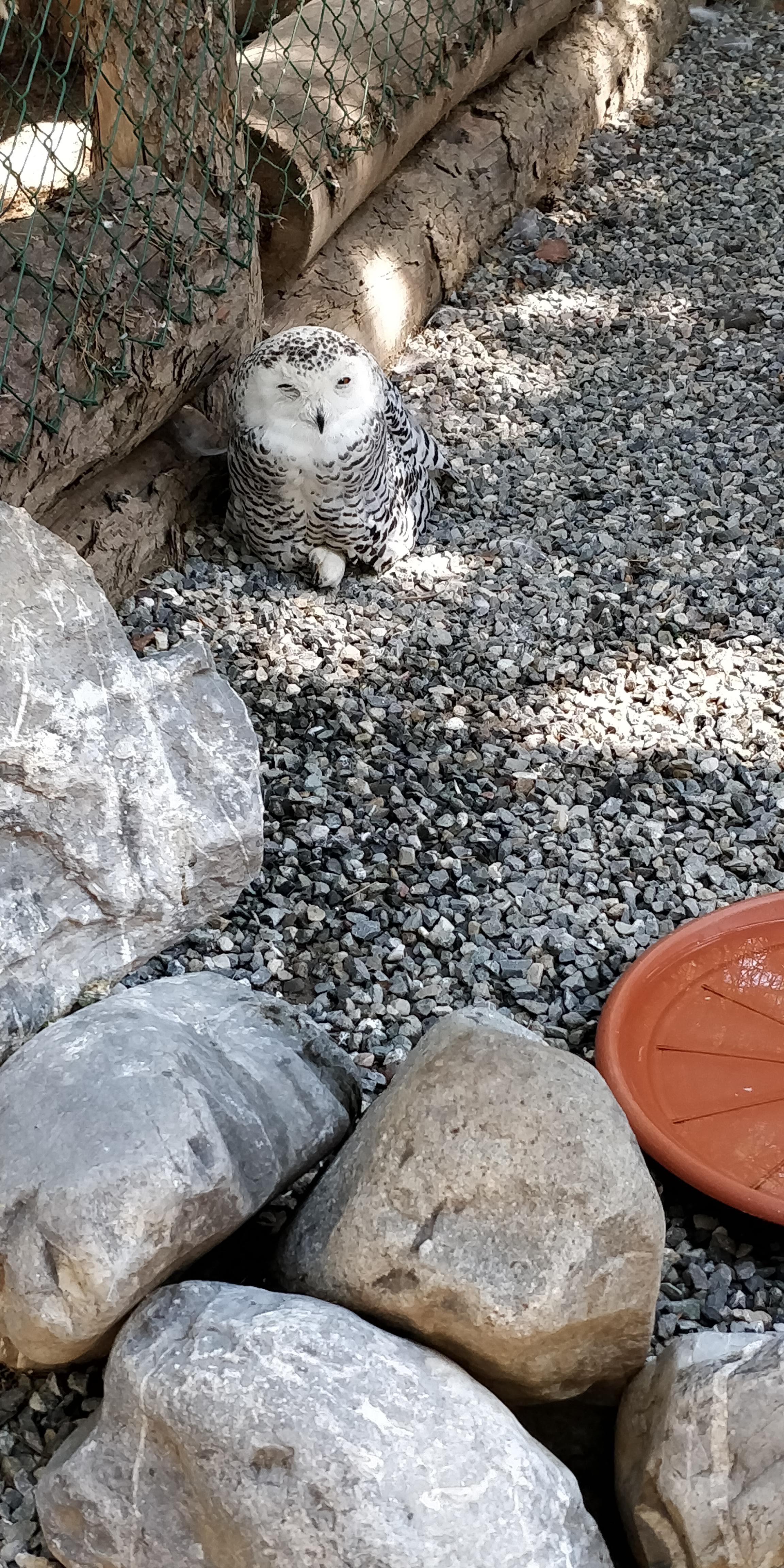 Photo n° 25 de l'avis de Sylvain.e fait le 02/08/2018 à 06:25