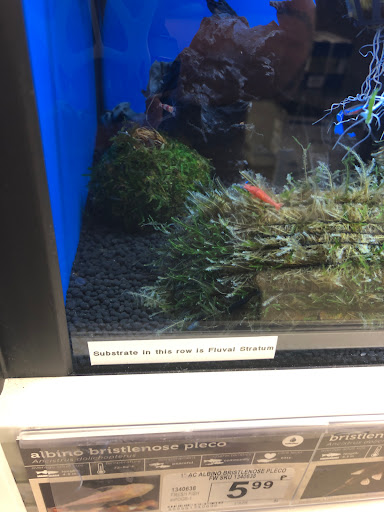 Pet Supply Store «Petco Animal Supplies», reviews and photos, 2617 196th St SW #141, Lynnwood, WA 98036, USA