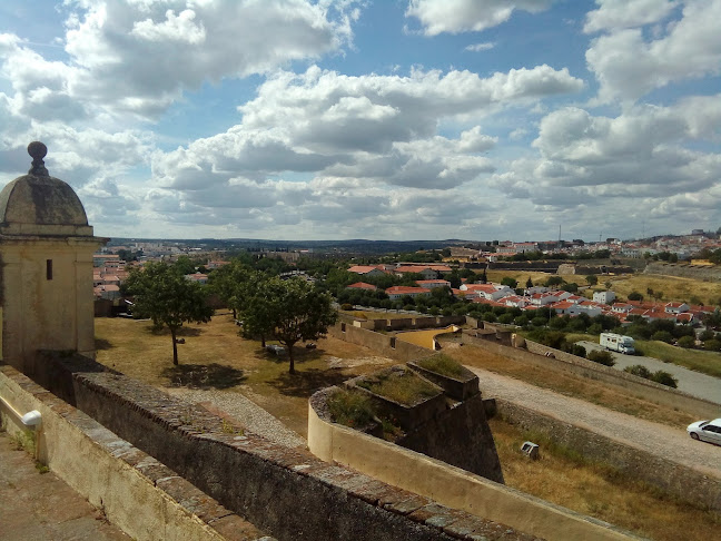 Terminal Rodoviário de Elvas - Serviço de transporte