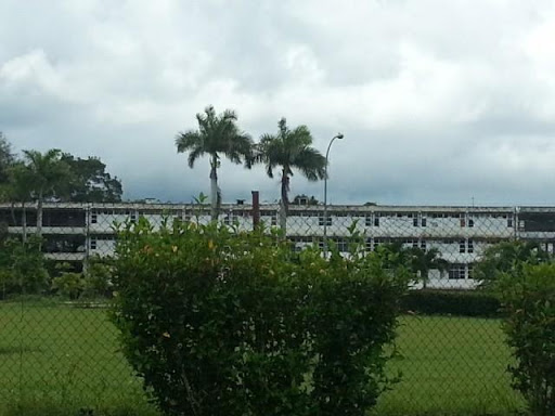 Escuelas verano Habana