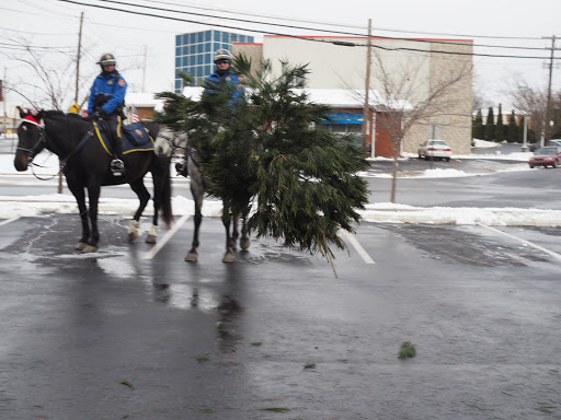 Auto Repair Shop «More Miles Automotive», reviews and photos, 1458 Stefko Blvd, Bethlehem, PA 18017, USA