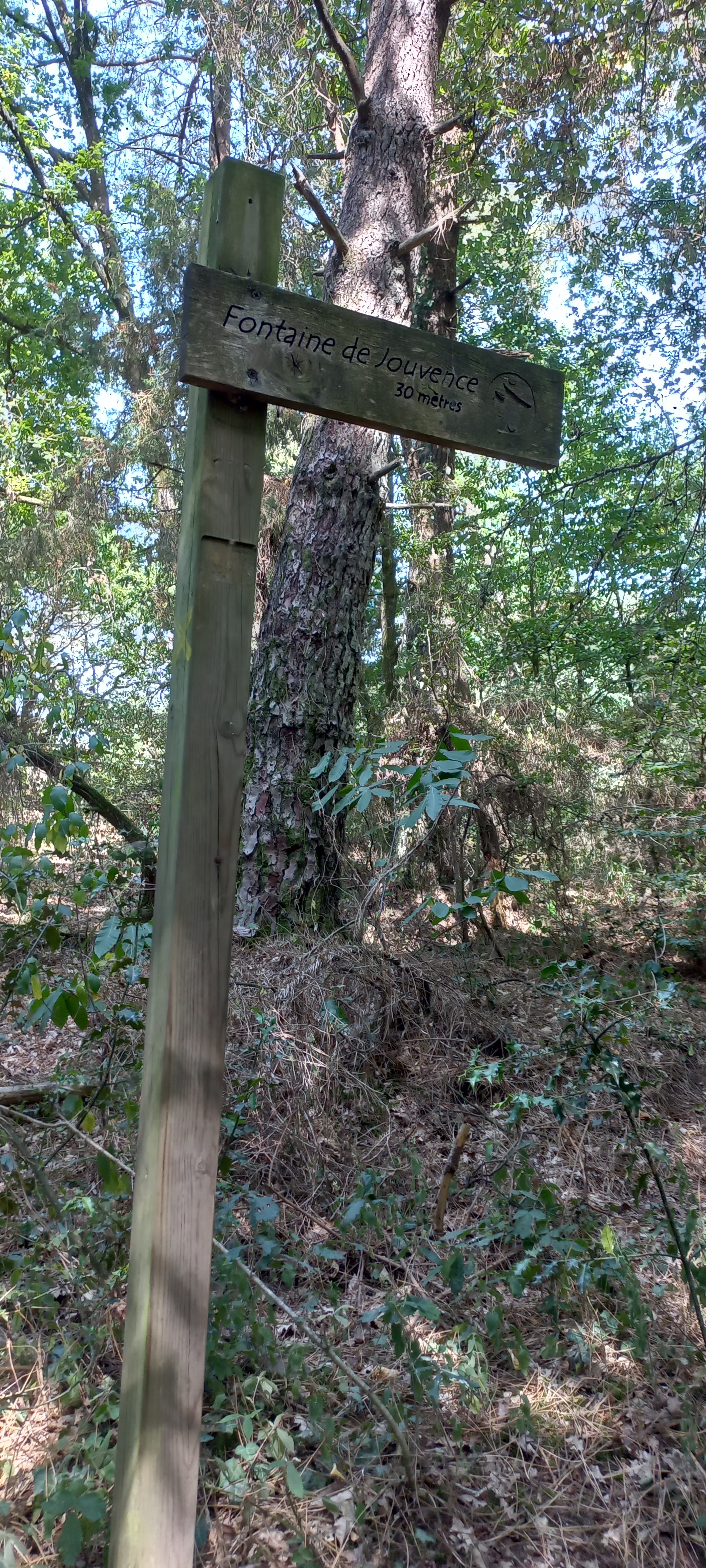 Photo n° 11 de l'avis de Françoise.o fait le 16/07/2022 à 21:19