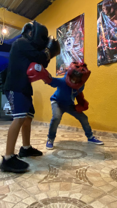 Libra X Libra Boxing Club - Circuito Toshiba 19 p/b Colonia Jardines de los Báez, 3ra Sección, 55050 Ecatepec de Morelos, Méx., Mexico