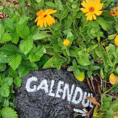 Scented Garden - Other