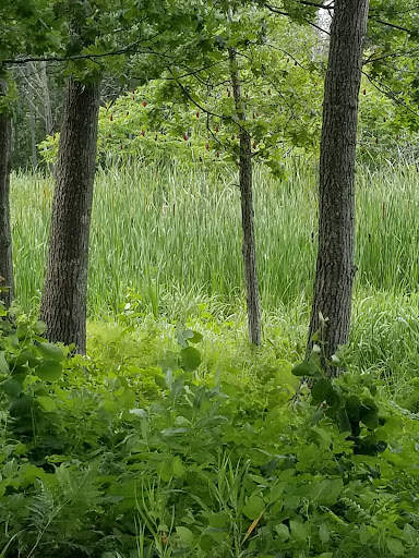 Hotel «Grand Casino Mille Lacs», reviews and photos, 777 Grand Ave, Onamia, MN 56359, USA