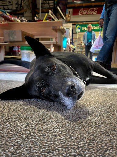 Hardware Store «Public Hardware Inc.», reviews and photos, 505 N Mangum St, Durham, NC 27701, USA