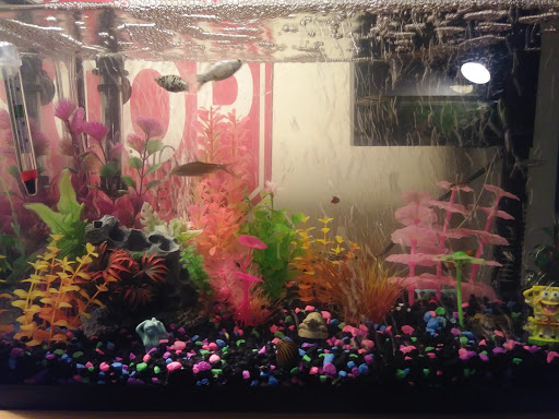 Pet Supply Store «PetSmart», reviews and photos, 2391 NJ-66, Ocean Township, NJ 07712, USA