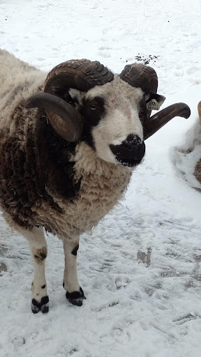 Zoo «Red River Zoo», reviews and photos, 4255 23rd Ave S, Fargo, ND 58104, USA