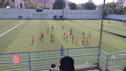 Altınordu Ataşehir Futbol Okulu
