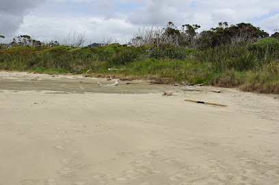 Waipati Beach
