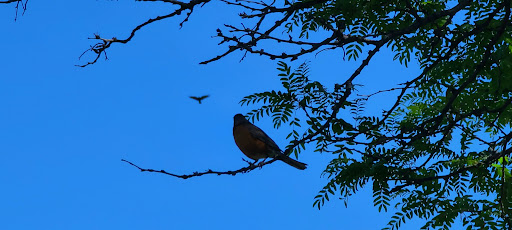 Park «Grandville Gude Park», reviews and photos, 8300 Mulberry St, Laurel, MD 20707, USA