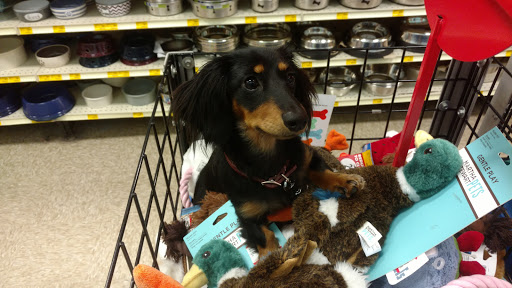 Pet Supply Store «PetSmart», reviews and photos, 534 US-441, Lady Lake, FL 32159, USA