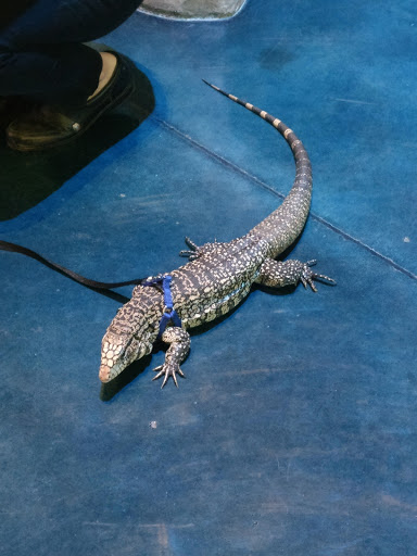 Aquarium «Loveland Living Planet Aquarium», reviews and photos, 12033 Lone Peak Pkwy, Draper, UT 84020, USA