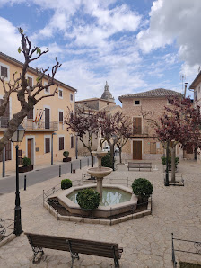 Ayuntamiento de Santa Eugenia Plaça Bernat de Santa Eugènia, 7, 07142 Santa Eugènia, Illes Balears, España
