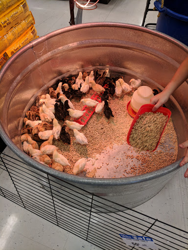 Animal Feed Store «Wilco Farm Store», reviews and photos, 2300 E Hancock St, Newberg, OR 97132, USA