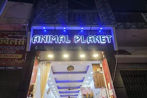 Animal Planet image