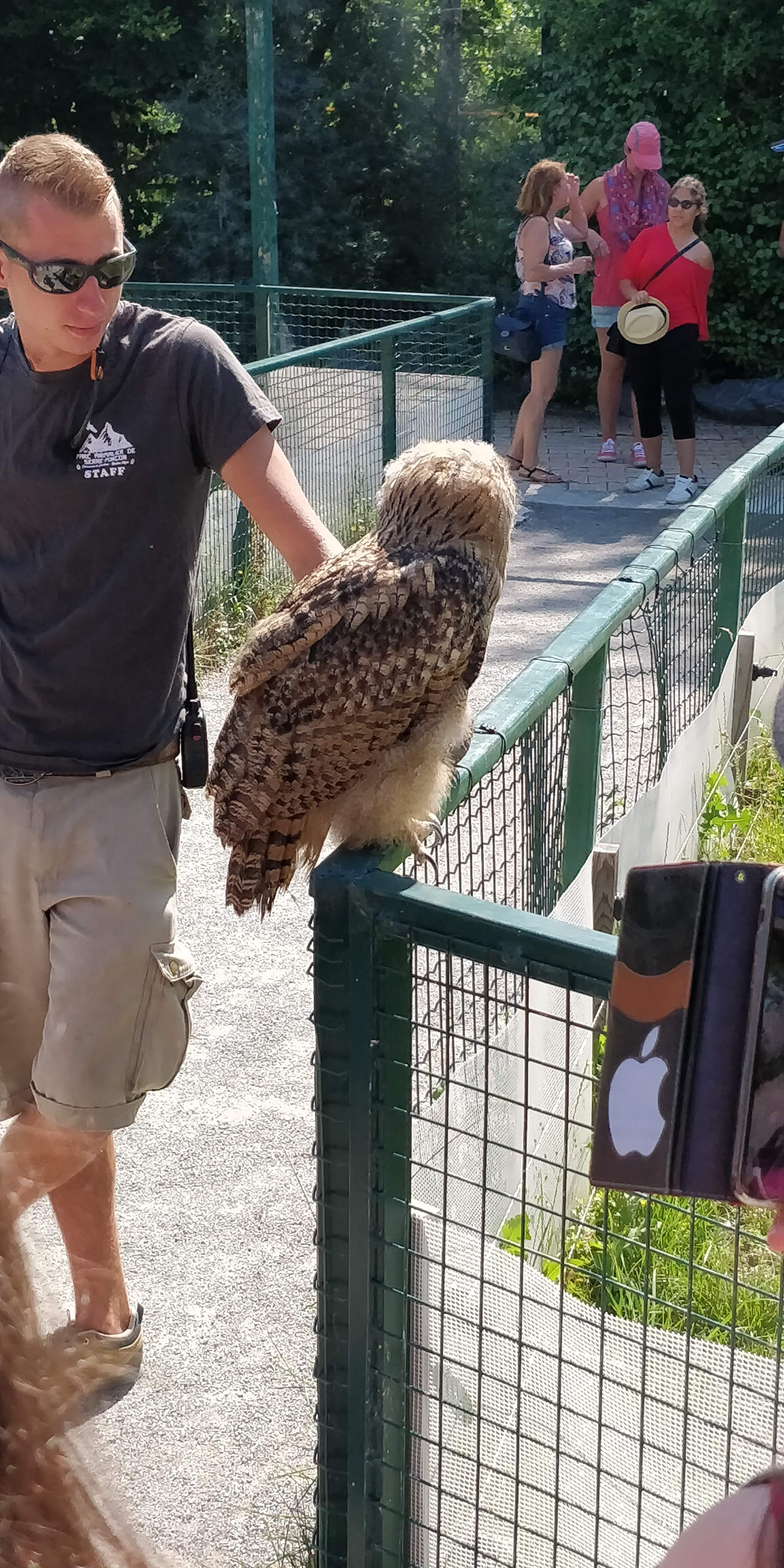 Photo n° 5 de l'avis de Sylvain.e fait le 02/08/2018 à 06:25
