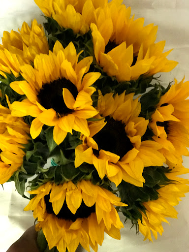 Florist «Roberts Flower Shop», reviews and photos, 423 Castroville Rd, San Antonio, TX 78207, USA