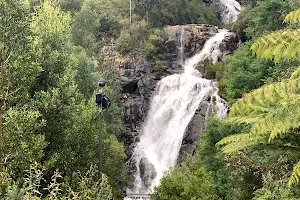 Steavenson Falls image