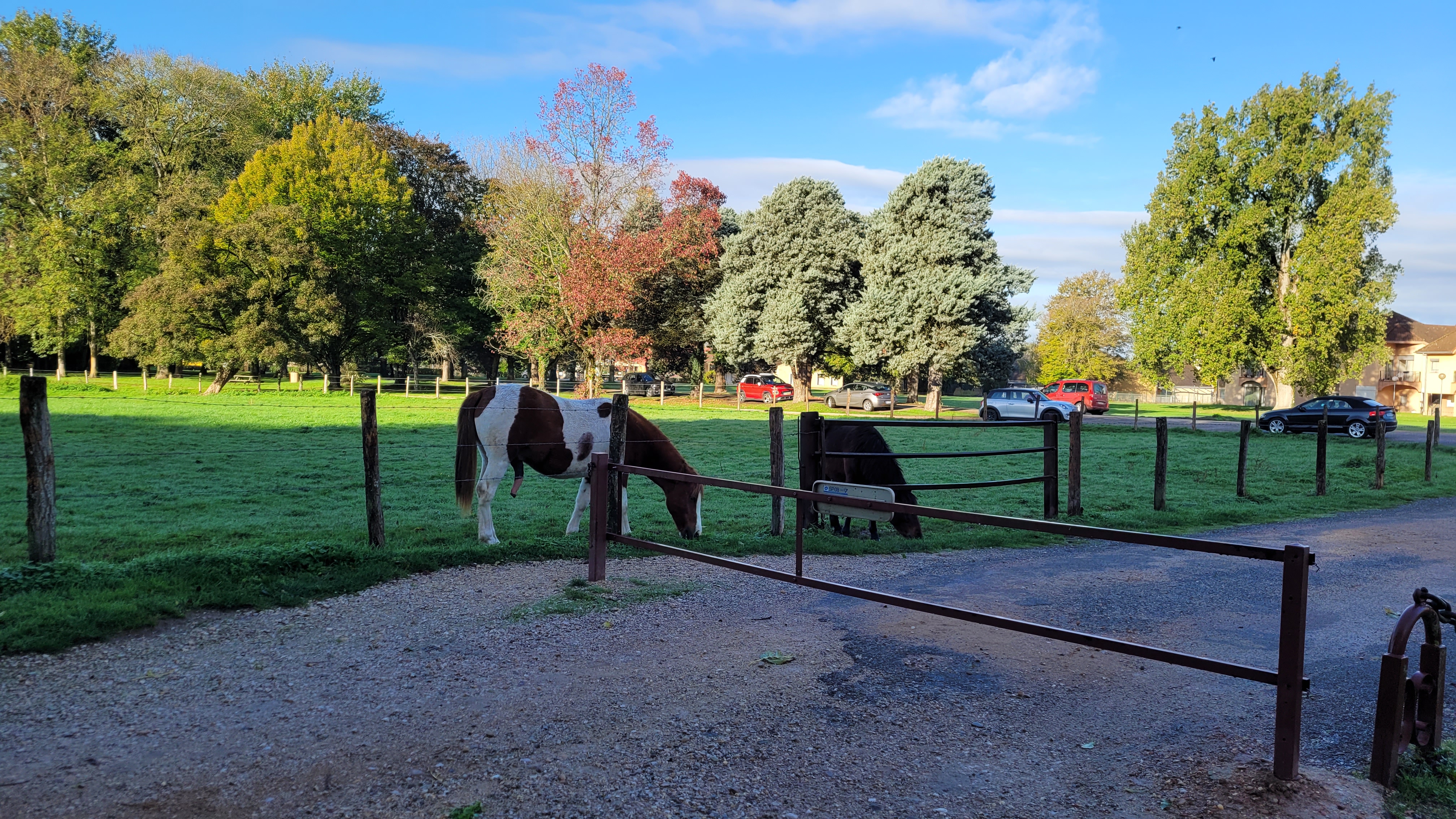Photo n° 10 de l'avis de Alessandra.a fait le 13/11/2022 à 08:34