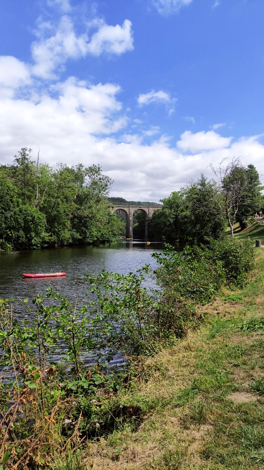Photo n° 1 de l'avis de Cyangoco. fait le 01/08/2022 à 20:03