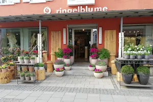 Ringelblume-Garching image